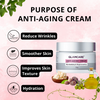 Anti Aging Cream: The Key to a Youthful Glow